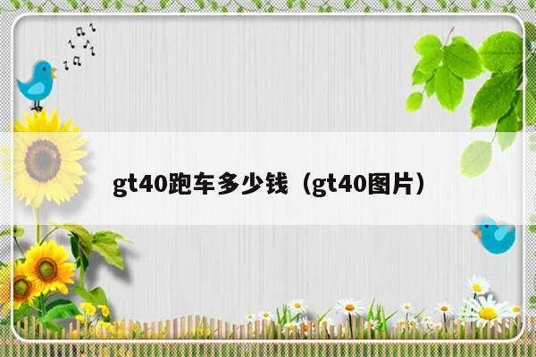 gt40跑车多少钱（gt40图片）-第1张图片-乐修号
