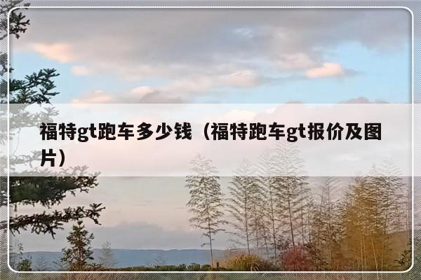 福特gt跑车多少钱（福特跑车gt报价及图片）-第1张图片-乐修号