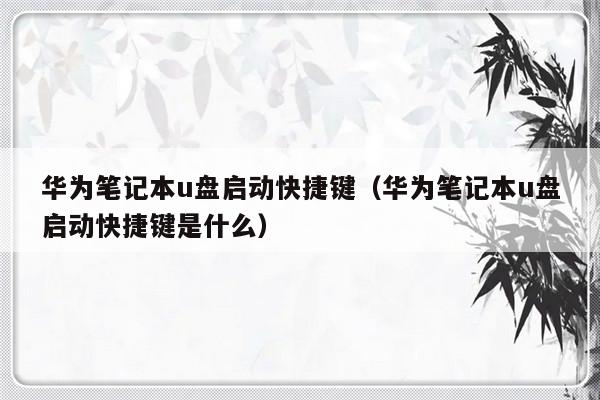 华为笔记本u盘启动快捷键（华为笔记本u盘启动快捷键是什么）-第1张图片-乐修号