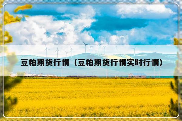 豆粕期货行情（豆粕期货行情实时行情）-第1张图片-乐修号