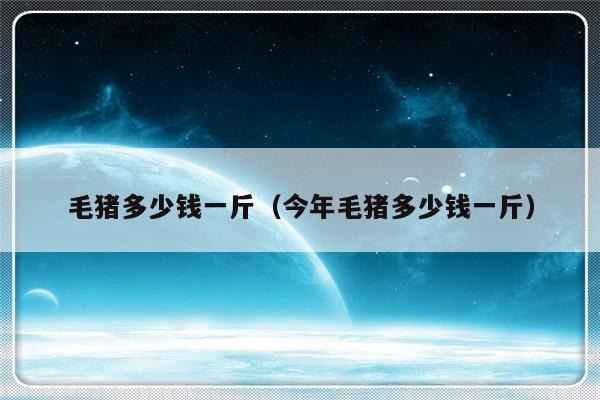 毛猪多少钱一斤（今年毛猪多少钱一斤）-第1张图片-乐修号