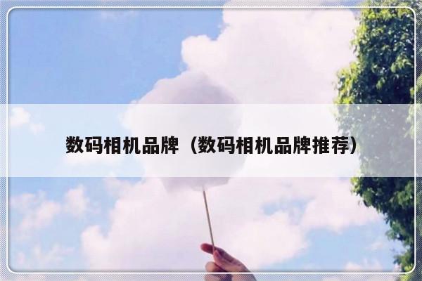 数码相机品牌（数码相机品牌推荐）-第1张图片-乐修号