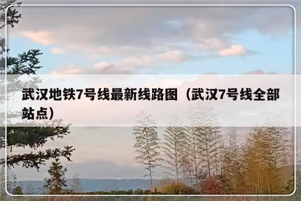 武汉地铁7号线最新线路图（武汉7号线全部站点）-第1张图片-乐修号