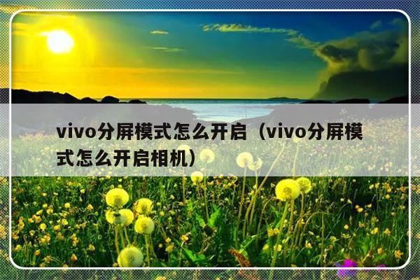 vivo分屏模式怎么开启（vivo分屏模式怎么开启相机）-第1张图片-乐修号