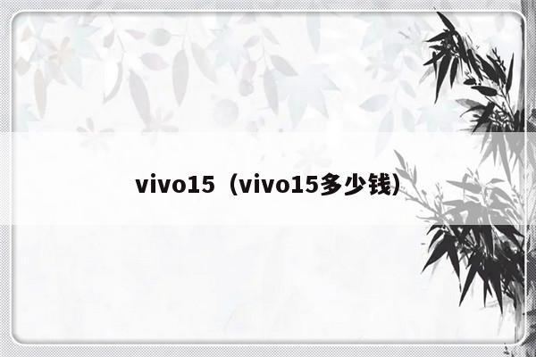 vivo15（vivo15多少钱）-第1张图片-乐修号
