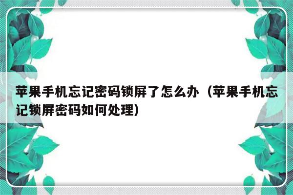 苹果手机忘记密码锁屏了怎么办（苹果手机忘记锁屏密码如何处理）-第1张图片-乐修号