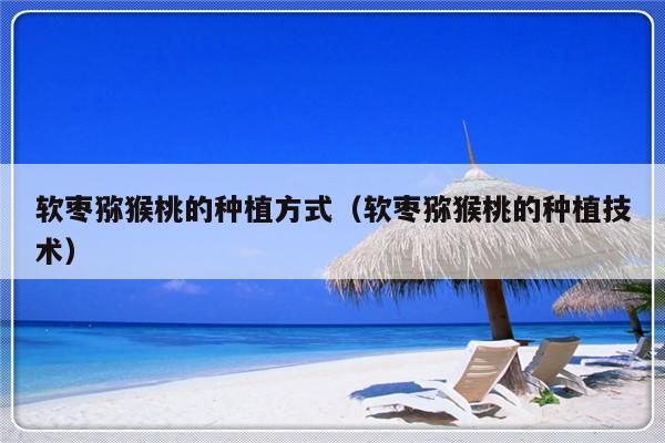 软枣猕猴桃的种植方式（软枣猕猴桃的种植技术）-第1张图片-乐修号