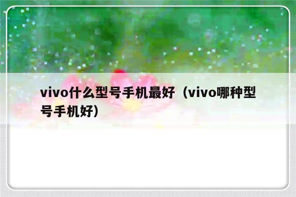 vivo什么型号手机最好（vivo哪种型号手机好）-第1张图片-乐修号