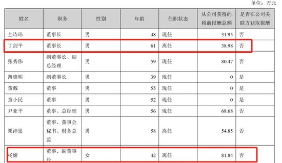 美女总经理带头财务造假,海伦哲索赔2.48亿-第3张图片-乐修号