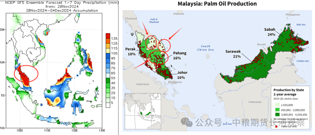 马来洪水担忧，棕榈油强劲反弹-第4张图片-乐修号